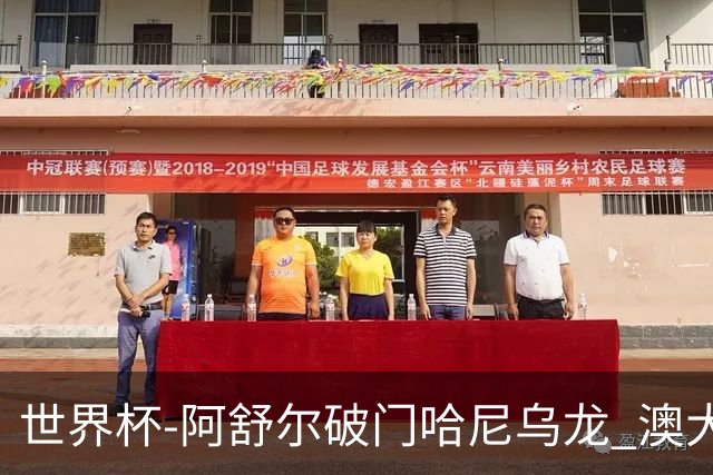 世界杯-阿舒尔破门哈尼乌龙 澳大利亚1-1埃及进加时