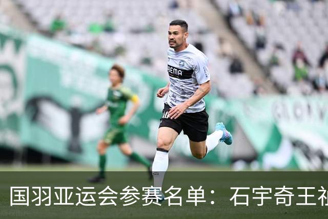 国羽亚运会参赛名单：石宇奇王祉怡领衔单打 梁王圣坛出击双打