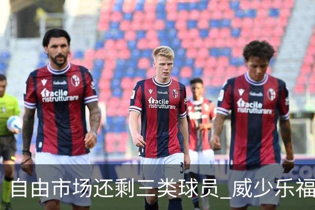 自由市场还剩三类球员 威少乐福领衔失业大军？